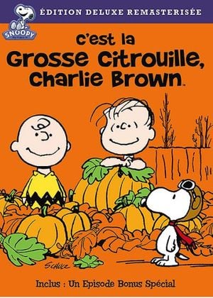 film-halloween-enfant-cest-la-grosse-citrouille-charlie-brown