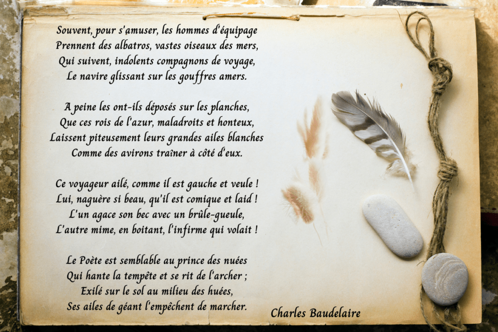 albatros-charles-baudelaire