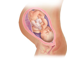 Contractions Quand S Inquieter Top Produits Bebe Contractions Quand S Inquieter Top Produits Bebe