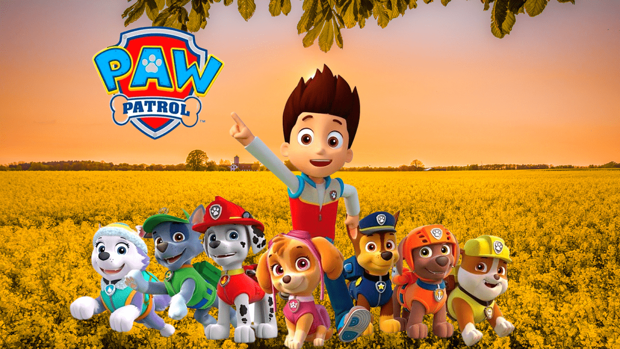 Paw Patrol : La Pat' Patrouille, 1 heure des meilleures aventures de Chase  et Ryder !