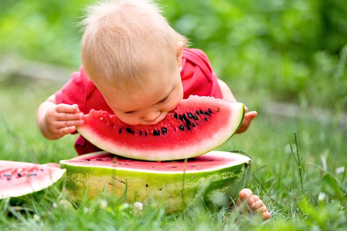 8 idées de repas sains pour bébé pendant l'été