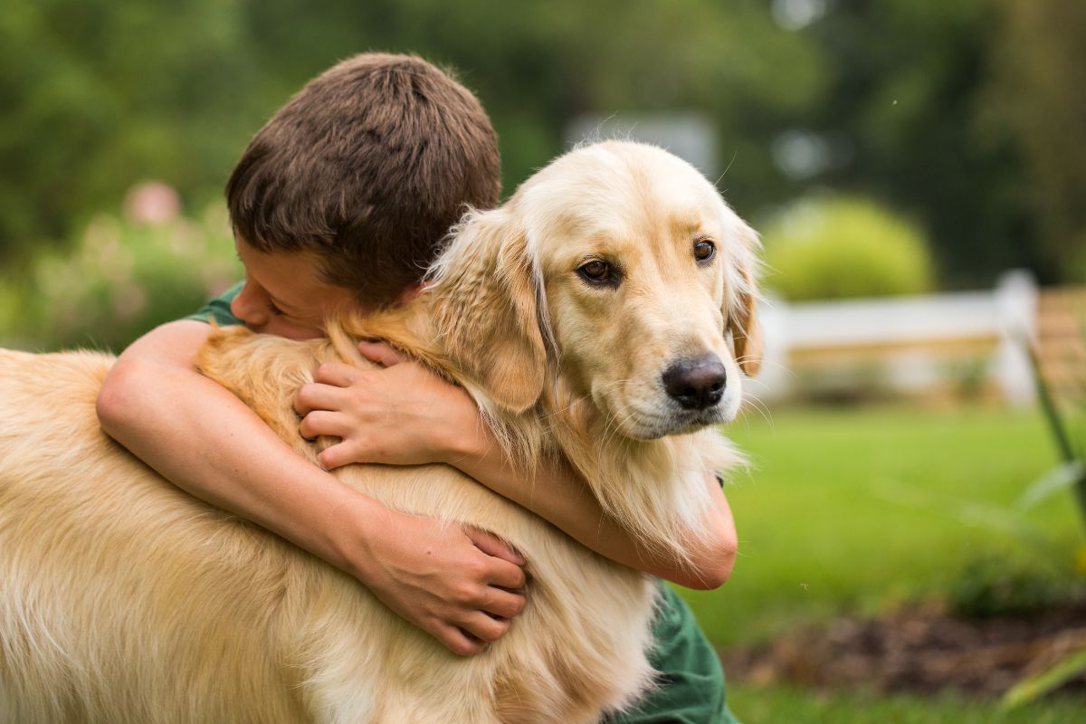 races-de-chien-compatibles-avec-les-enfants